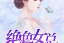 在线寻找绝色女总裁的全能保镖小说的无删减版本-书格格