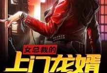 女总裁的上门龙婿小说的无弹窗阅读体验，寻找免费阅读网站-书格格