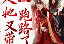 小说《甜宠:夫人她又带崽跑路了》章节免费阅读-书格格