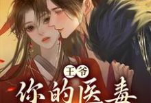 《王爷,你的医毒王妃嫁到》小说主角凌枫蝶萧南炎章节章节免费在线阅读-书格格