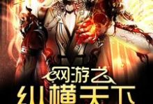 网游之纵横天下小说最新更新在哪里?免费在线看-书格格