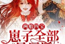 江瑾厉北霄瑾瑾的故事在哪本书里？免费阅读两胎四宝，崽子全部是反派-书格格