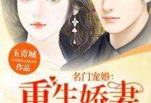 《名门宠婚：重生娇妻火辣辣》小说主角倪宝珠史战南章节章节免费在线阅读-书格格