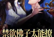 禁欲佛子太能撩,她意乱情迷了小说全文阅读需要付费吗?寻找免费资源-书格格