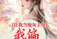《让我当炮灰主母，我偏另谋出路》全集免费在线阅读（司微月盛黎昕）-书格格