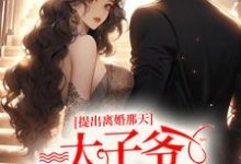 提出离婚那天,太子爷满城找夫人小说全文哪里可以免费看?-书格格