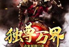 独尊万界小说的无弹窗阅读体验,寻找免费阅读网站-书格格