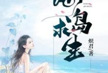 海岛求生小说,海岛求生免费阅读-书格格