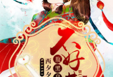 主角叫盛泱穆炎萧景轩的小说在哪阅读-书格格