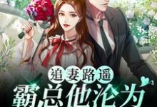 主人公叫许念念霍宴深的小说追妻路遥:霸总他沦为妻奴啦在线阅读章节-书格格