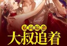 双向暗恋:大叔追着我不放小说全文阅读需要付费吗?寻找免费资源-书格格