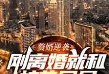 免费阅读叶秋白为主角的小说，赘婿逆袭：刚离婚就和校花同居在线看-书格格