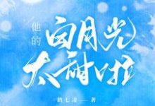 他的白月光太甜啦这本小说怎么样？免费在线阅读试试-书格格