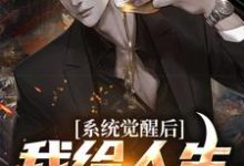 主人公陈峰小说系统觉醒后,我给人生开了个挂在线章节阅读-书格格