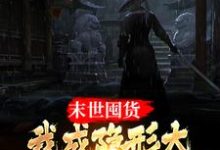 末世囤货:我成隐形大佬全球零元购小说全文阅读需要付费吗?寻找免费资源-书格格