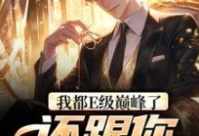我都E级巅峰了,还跟你讲道理?张铭小说在线章节目录阅读最新章节-书格格