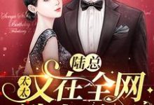 在线搜索陆辞简溪的完整小说,免费阅读陆总,太太又在全网选老公了-书格格