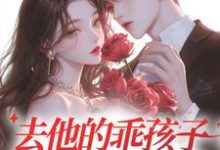 在线寻找去他的乖孩子,他明明很会装小说的无删减版本-书格格