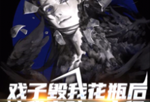 主人公叫关爽爽的小说戏子毁我花瓶后,被我索赔二十亿在线阅读章节-书格格