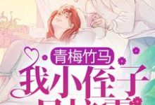 青梅竹马:我小侄子是校霸小说的免费电子版在哪里可以下载或阅读?-书格格