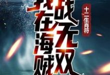 十二生肖符:我在海贼战无双小说最新章节在哪里可以读到?-书格格