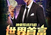 小说《神豪系统开启,世界首富是我滴》章节免费阅读-书格格