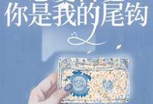 求恋爱日记:你是我的尾钩小说的全文免费阅读链接-书格格