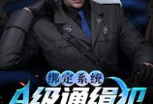 绑定系统:A级通缉犯说抓就抓小说的最新章节在哪里更新?免费追踪阅读-书格格