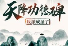天降功德碑:反派成圣了陆燃小说大结局免费试读-书格格