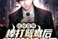 民国爱情：棒打鸳鸯后我们破镜重圆小说的所有章节都能在哪里免费读到？-书格格