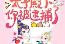 孟羽兮北云煦小说在线章节免费阅读(太子殿下你被逮捕了无弹窗无删减)-书格格