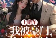 上错车,我被豪门总裁倒追小说,上错车,我被豪门总裁倒追免费阅读-书格格