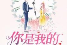 想读宋沐晨陆怀晞的故事,哪里可以免费找到你是我的万分之一糖?-书格格