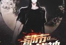 主角黄洛柳慕雪苏临渊小说都市无上战神免费阅读-书格格