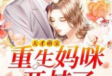天才萌宝:重生妈咪开挂了这本小说在哪里可以看?哪里有免费试读章节?-书格格