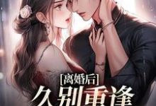 小说《离婚后,久别重逢前夫跪求原谅》章节阅读-书格格