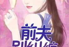 前夫,别纠缠(杨浩)在线免费阅读-书格格
