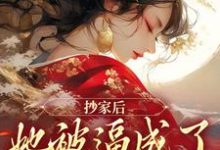 小说《抄家后,她被逼成了国师夫人》章节免费阅读-书格格