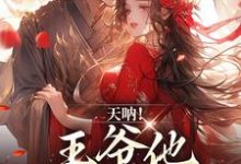 完整版的天呐!王爷他还在追妻小说在哪里可以免费读到?-书格格