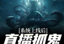 系统上线后,直播抓鬼返战斗力小说完结版章节免费阅读-书格格