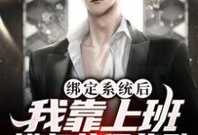 《绑定系统后,我靠上班摸鱼获得奖励》小说大结局免费试读 秦寻夏宁小说-书格格