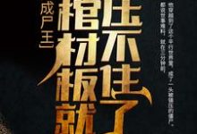 任锋嫦娥为主角的小说叫什么?免费看刚成尸王,我棺材板就压不住了-书格格