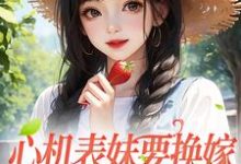 顾明月沈宴为主角的小说好看吗?求心机表妹要换嫁,我笑着同意免费试读-书格格
