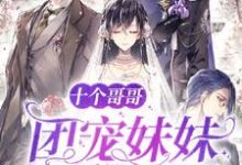 十个哥哥:团宠妹妹又甜又野顾九笙盛澜,十个哥哥:团宠妹妹又甜又野最新章节-书格格
