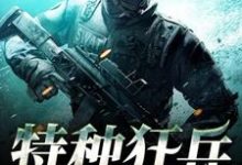 《特种狂兵》小说主角韩枫聂鑫雅肖娜章节章节免费在线阅读-书格格