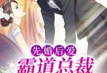 先婚后爱:霸道总裁秒变粘人精免费阅读,先婚后爱:霸道总裁秒变粘人精章节在线阅读-书格格