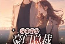 盛新顾泽野为主角的小说叫什么?免费看先婚后爱:豪门总裁又宠又欲-书格格