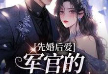 先婚后爱:军官的绝世医妻沈稚欢谢澜深小说在线章节目录阅读最新章节-书格格