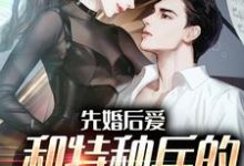 先婚后爱:和特种兵的养崽日常小说有没有完整的免费版本在线阅读?-书格格