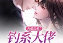 先婚后爱!钓系大佬偏执求爱叶晚晚冷之瑾,先婚后爱!钓系大佬偏执求爱最新章节-书格格